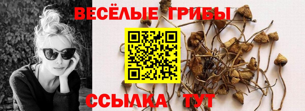 Псилоцибиновые грибы Psilocybine cubensis Нефтеюганск